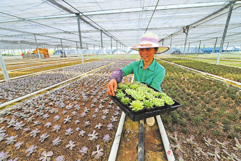 广水gdp_中国gdp增长图(2)