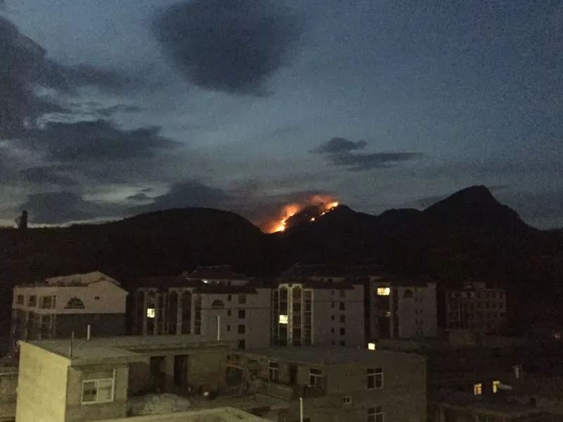 红色预警!这些地方森林火险等级:极度危险