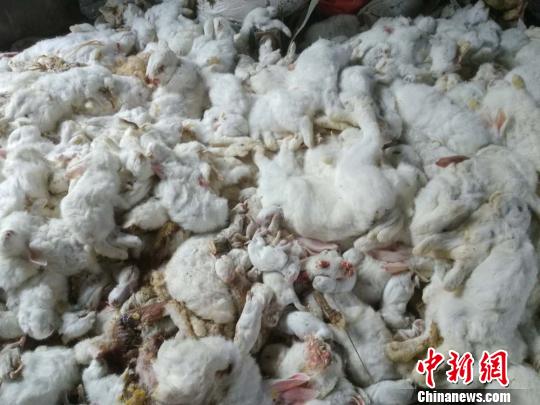 10乘20米的房子设计图