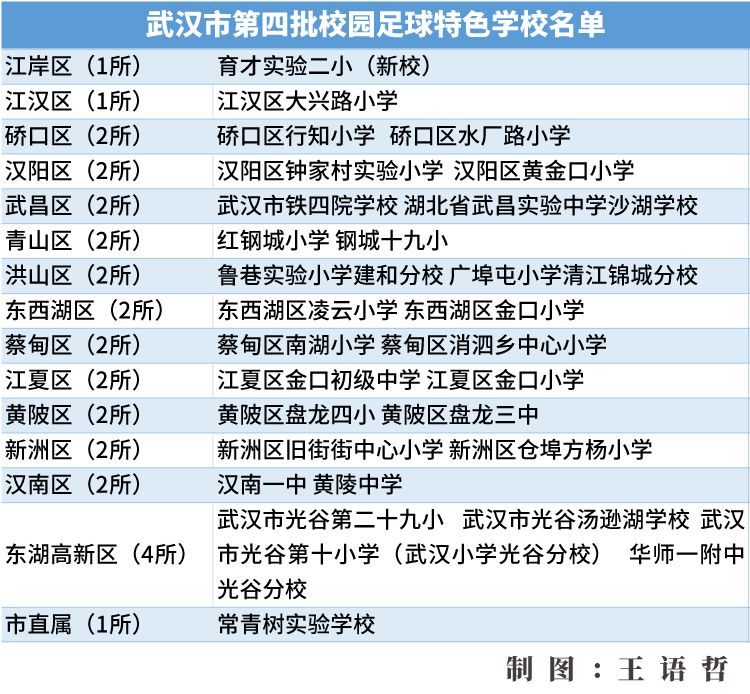 提升足球人口_人口普查(3)