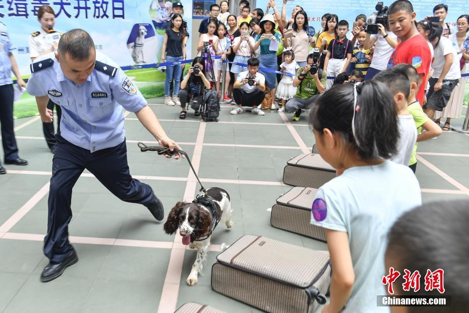 广州海关缉私犬队在日