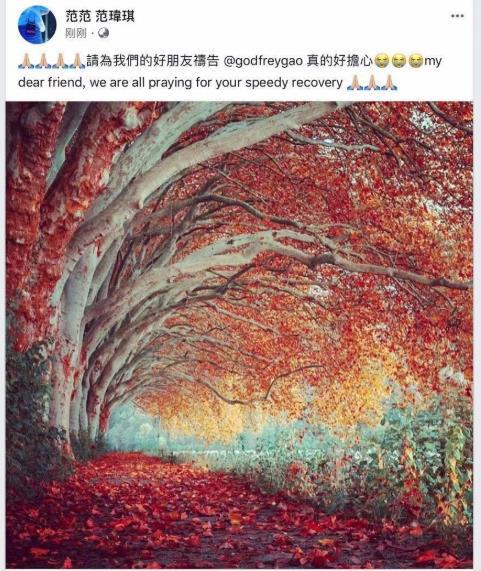 范玮琪收文为下以翔祷告：真的好担忧