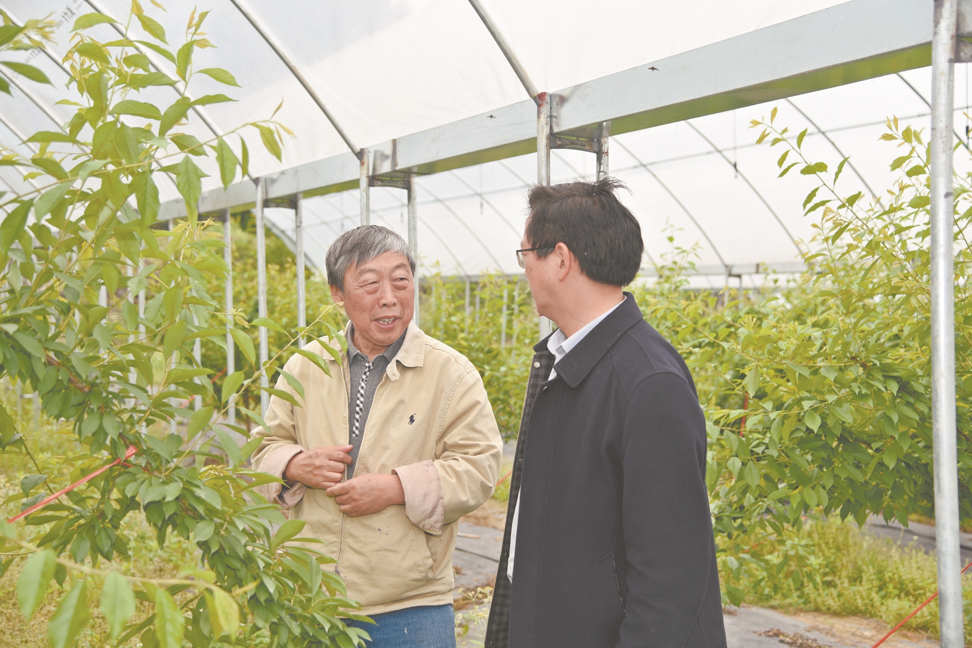 蔡礼鸿教授(左)指导村民种植技术