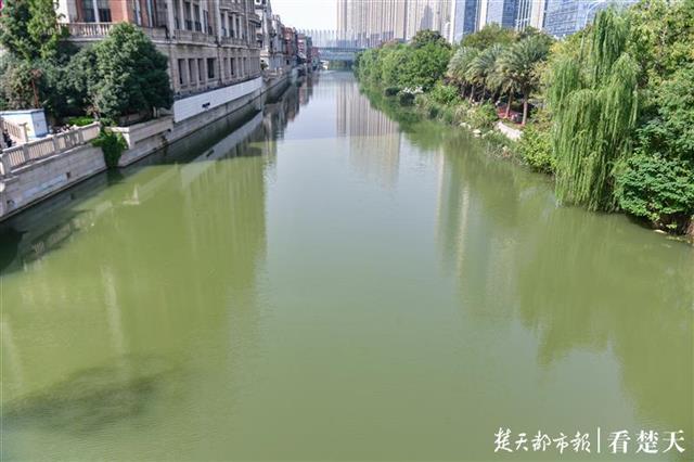 武汉提升沙湖、楚河及水果湖水质工程启动