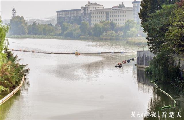 武汉提升沙湖、楚河及水果湖水质工程启动