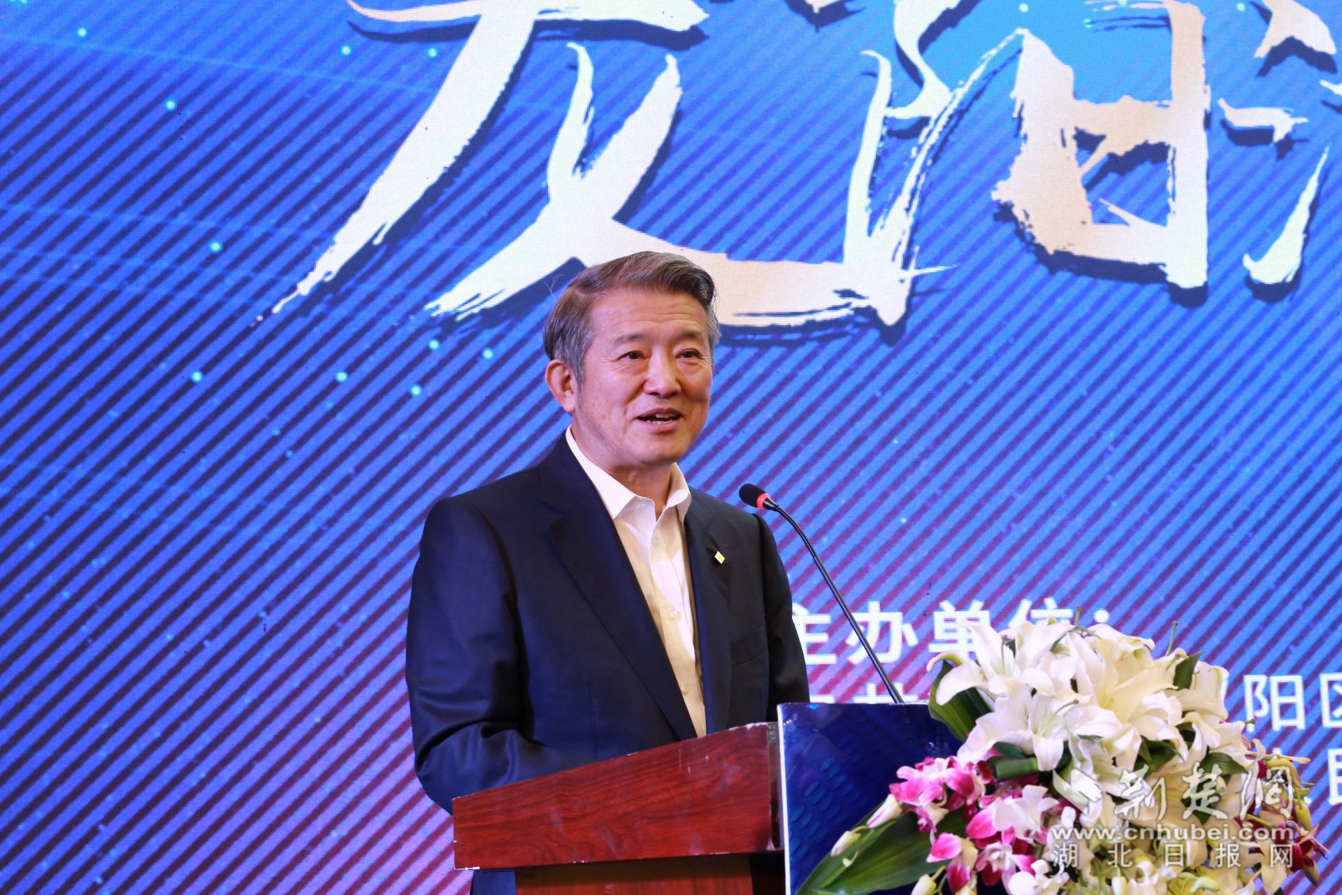 1号站代理注册“龙阳湖论健”活动在汉举行 19个大健康项目集中签约