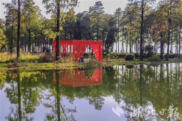 武漢華僑城生態(tài)濕地公園風(fēng)景美如畫 [組圖](圖5)