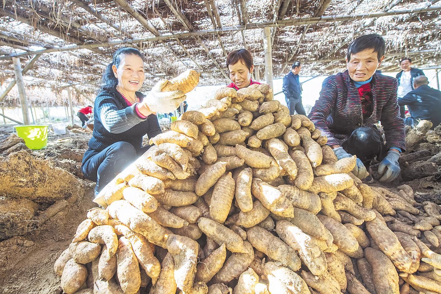 罗田县九资河镇gdp_罗田县九资河镇地图