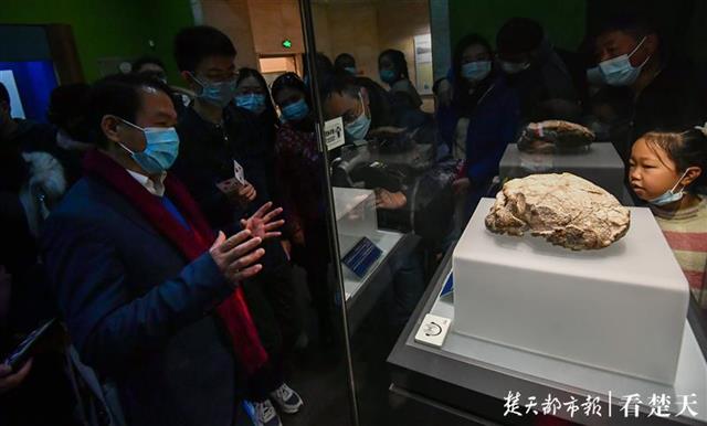 湖北省博物館十大“鎮(zhèn)館之寶”出爐，曾侯乙編鐘、越王勾踐劍人氣最高(圖1)