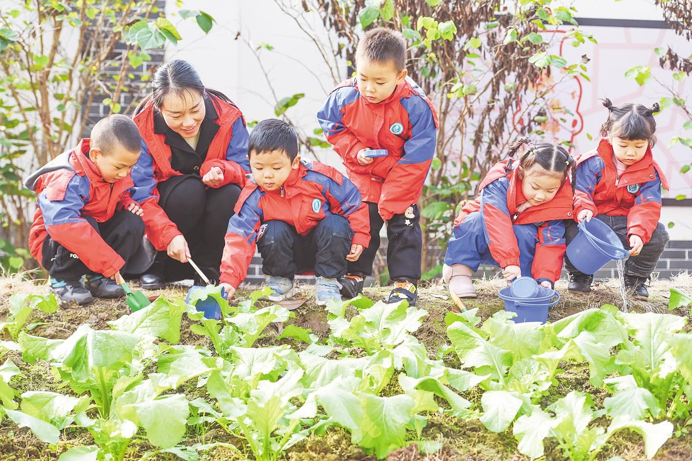 【亲近自然，留下最美好时刻】——凤城路幼儿园农场种植活动_植物