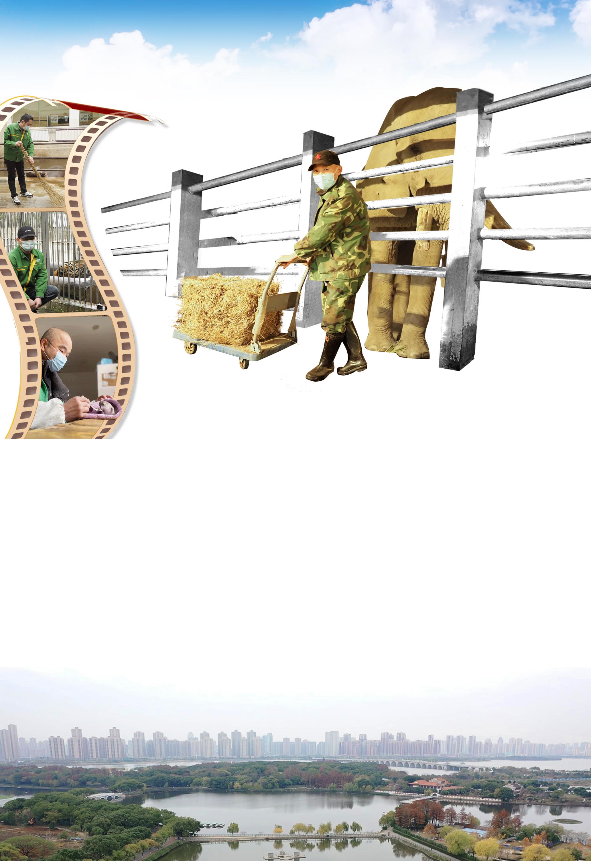 自然传奇动物大排行_《自然传奇》20201027动物大狂欢下