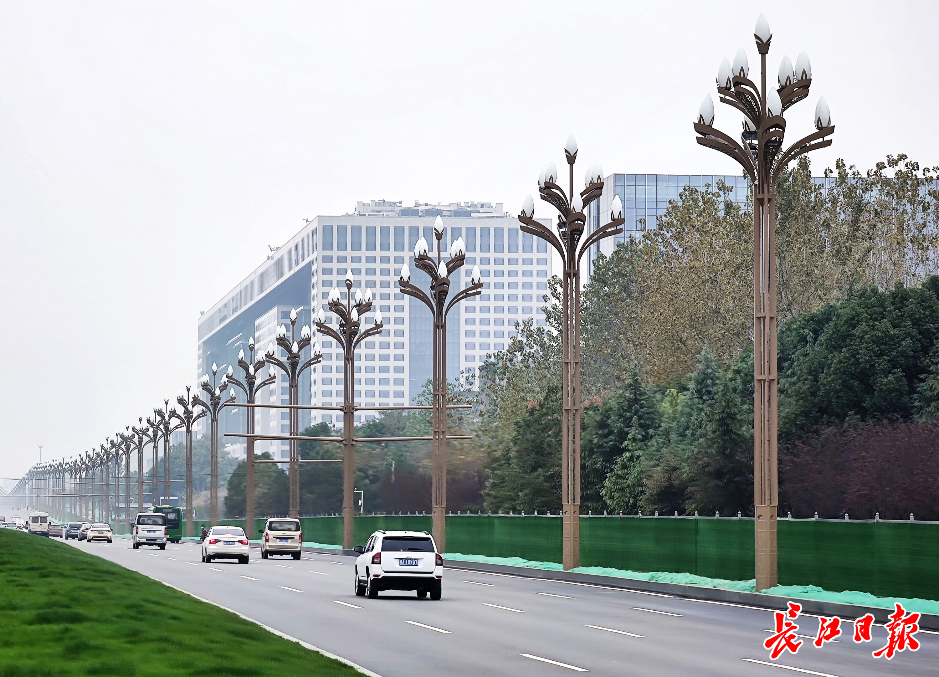 5g智慧路灯白玉兰亮了