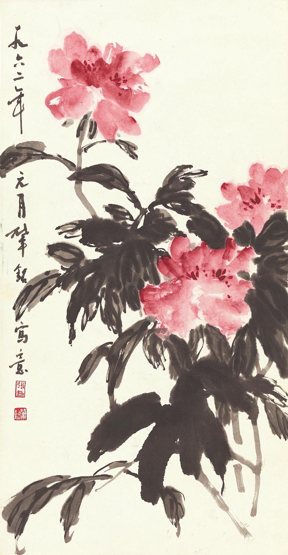 张肇铭 芍药 1962年 中国画 69.8×36.4cm