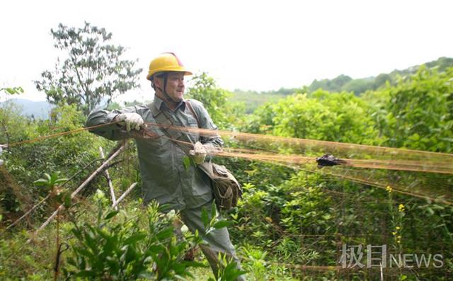 郑青松在收缴捕鸟网