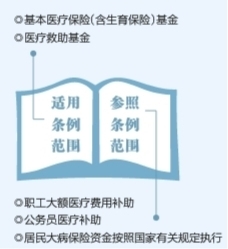 医疗保障基金使用监督管理条例图片 44081585d61a8f15999f70c487c76bbb.jpeg