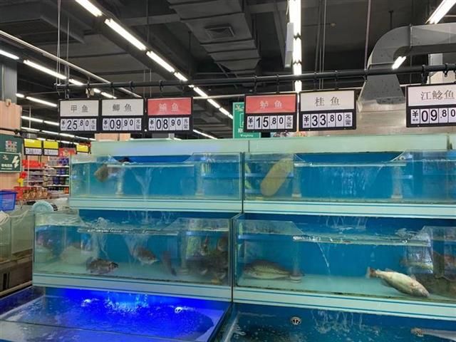 武汉活鱼市场"超长待机"