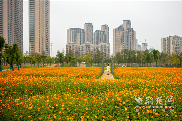 打造一批小微湿地示范点,建成武汉绕城生态林带杜公湖段示范点,农业