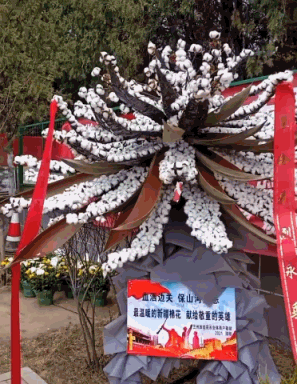 297_384 竖版 竖屏