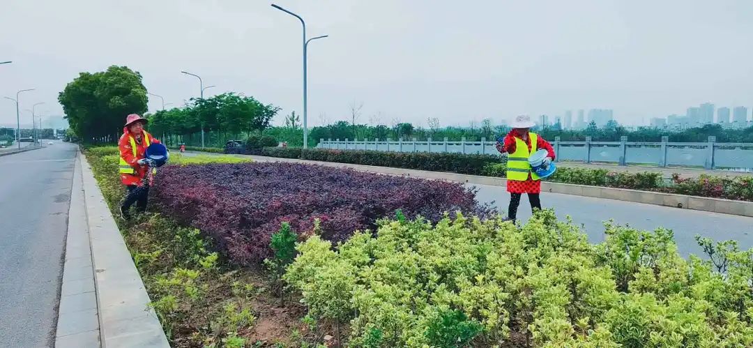 理、野草清除、灌木补植等工作。抢抓时间，力争在“五一”前全面完成。