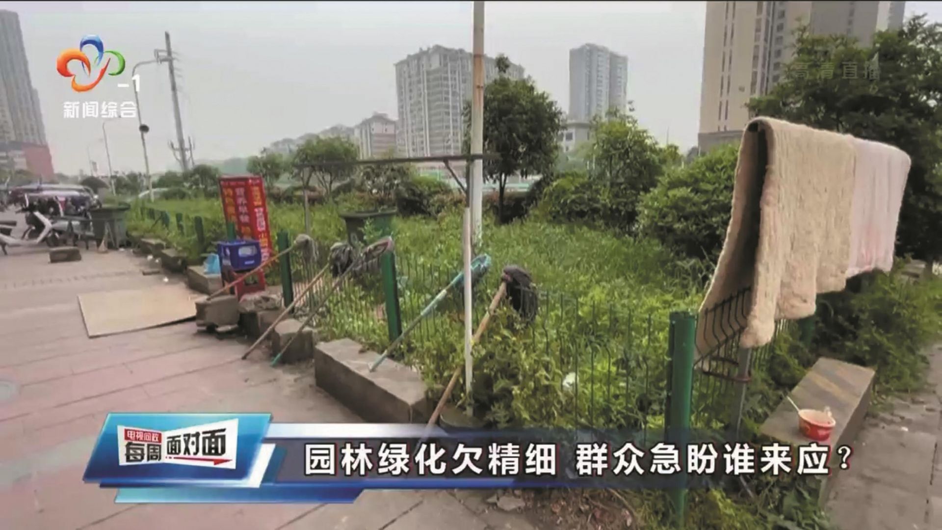 武汉电视问政曝光城市精细化管理不够问题 部分路段绿化带无人管垃圾遍地
