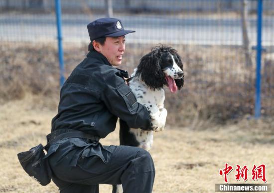 探访辽宁沈阳女警犬训导员