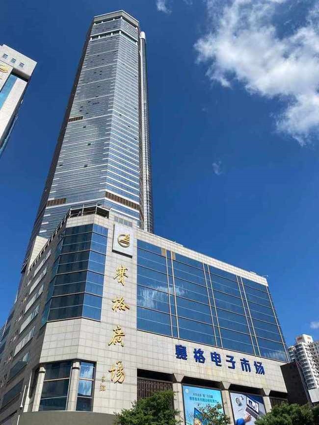 阻尼器能否成赛格大厦"定海神针"