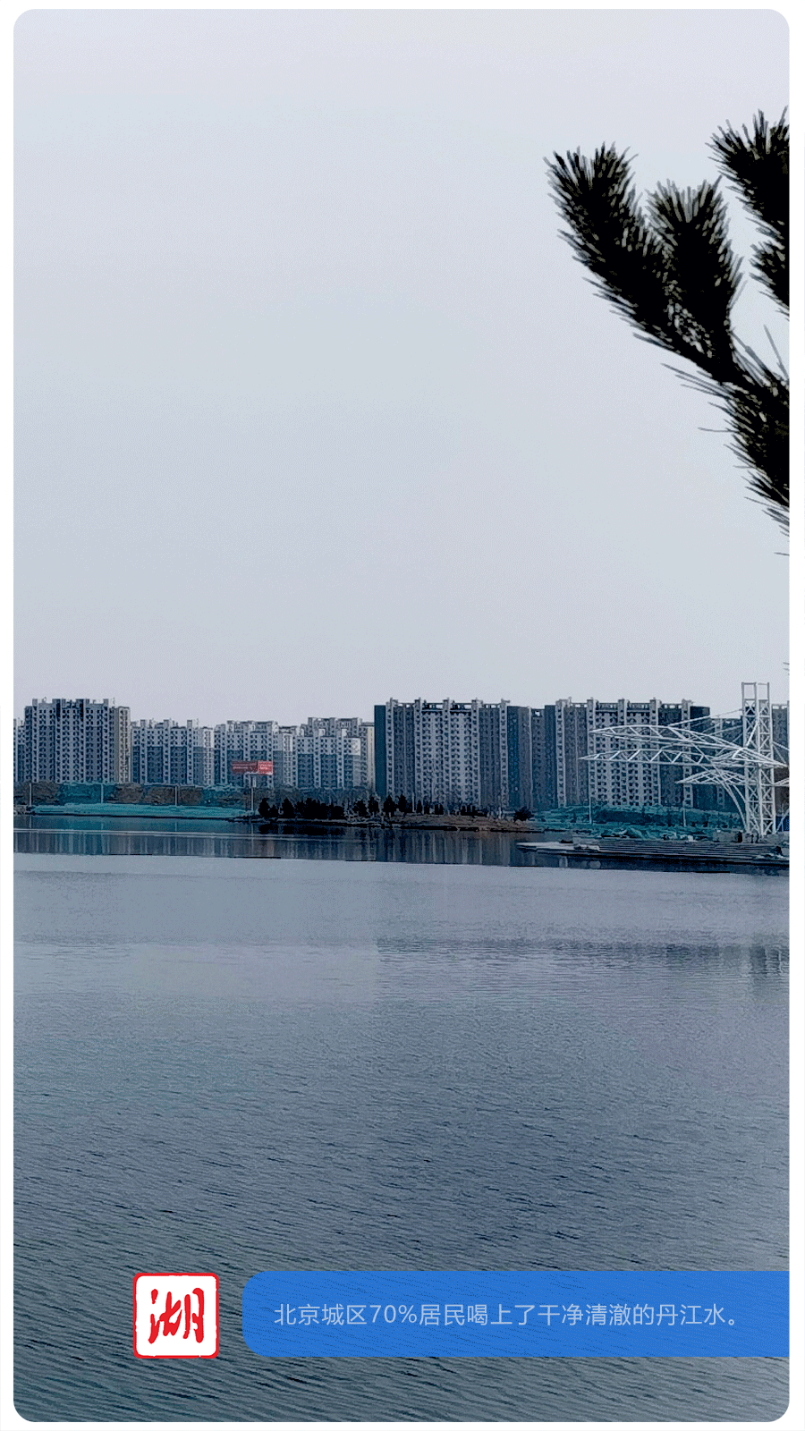 900_1600 竖版 竖屏