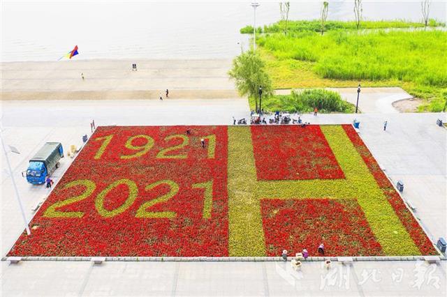 6万余盆一串红,设计布置武汉和建党100周年的鲜花图形数字,喜迎建党