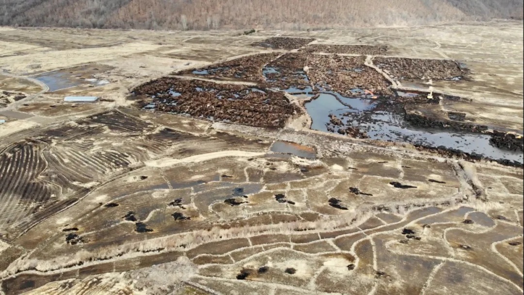 黑龙江五常黑土地遭盗挖,13人被给予党纪政务处分