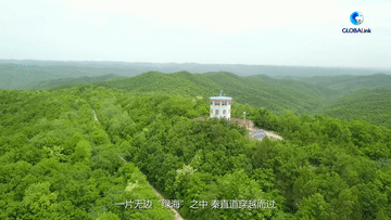 全球连线丨豹出没!秦朝