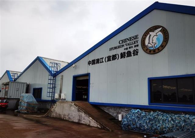 国家特色淡水鱼产业技术体系鲟鱼谷工作站在宜都挂牌