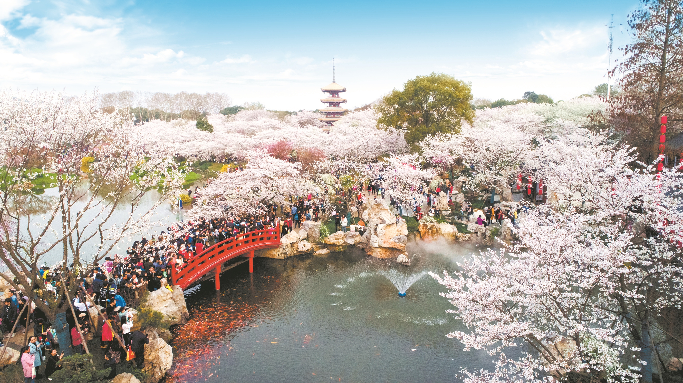 东湖风景区城管助力建设世界级城市生态绿心 打造世界级城中湖典范