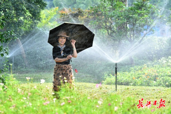 梅雨强势“返场”武汉 我市将会迎将近一周的多雨天气