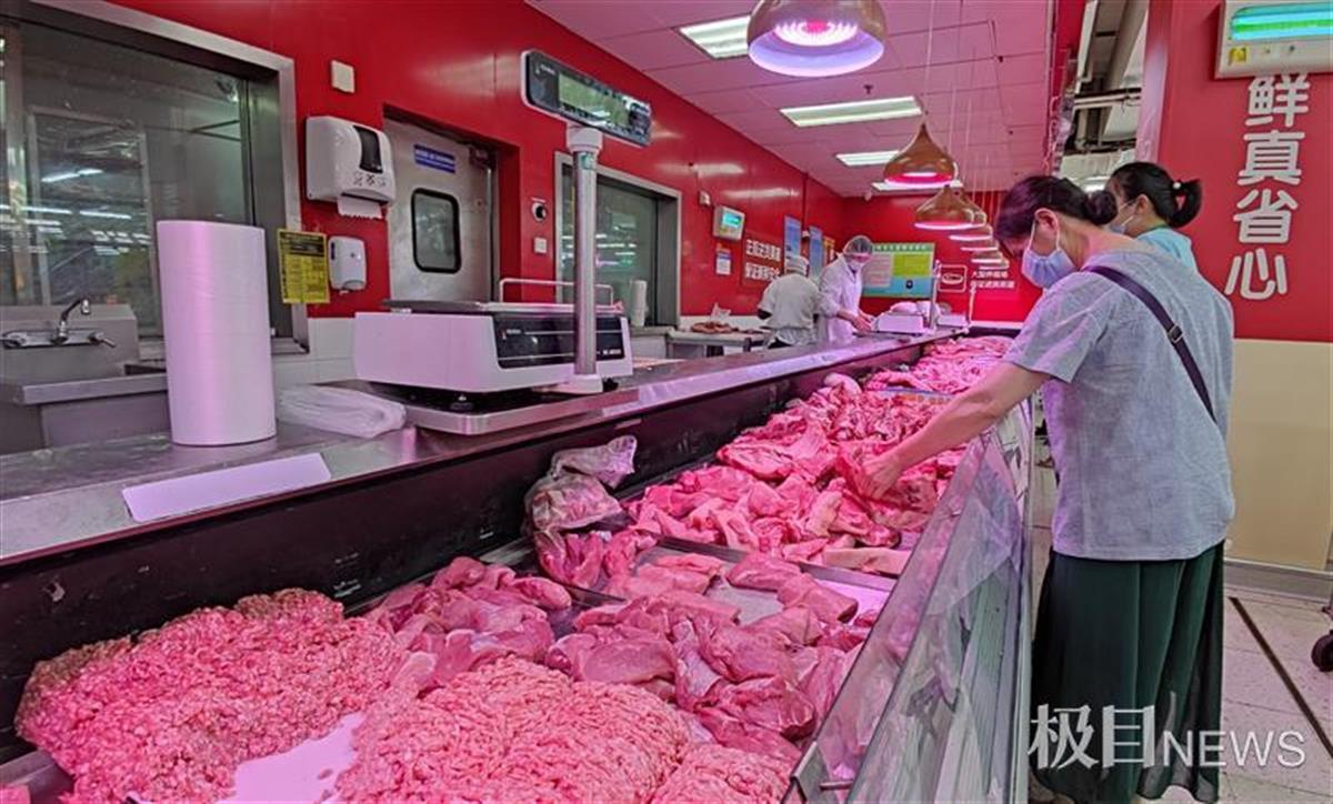 猪肉价格连续22周回落_2016年人参价格回落_猪肉价格回落