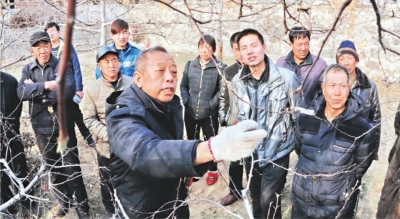 李保国(前左)在河北省内丘县岗底村向村民讲解果树修剪知识.