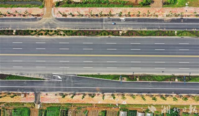 武汉新洲阳大公路升级改造后通车