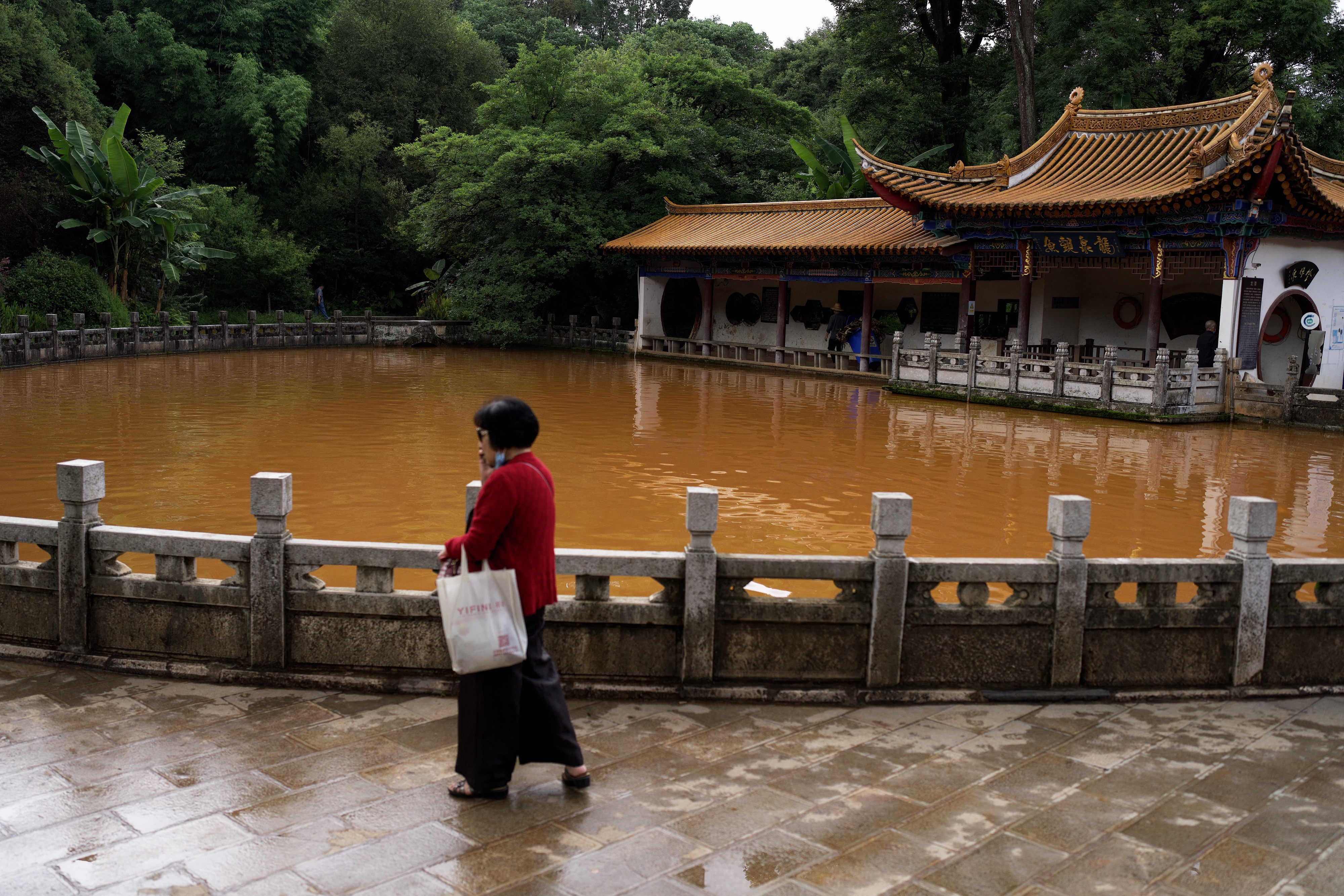 昆明黑龙潭水变色