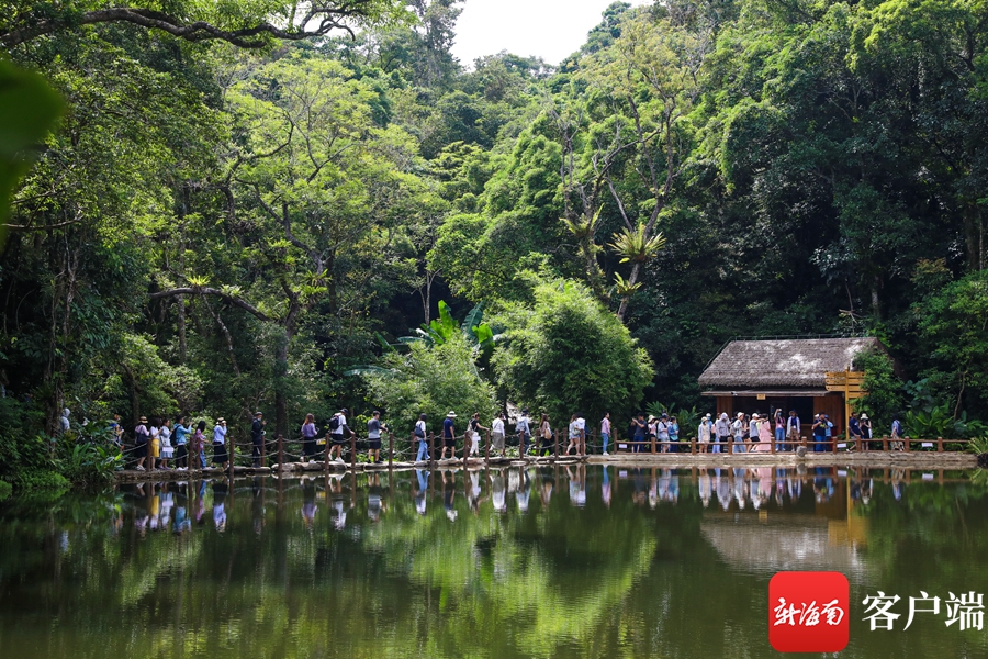 全媒体看海南 探秘"海南宝库"琼中百花岭 饱览雨林美景