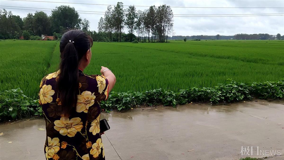 平凉车祸伤亡的河南农村妇女:农闲时都会外出打工赚钱,这次出了大事