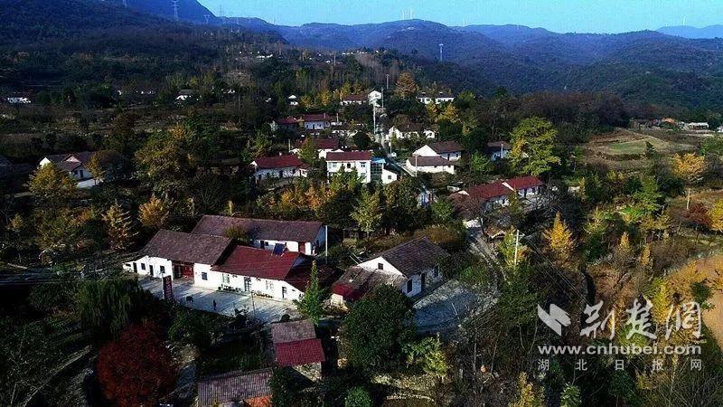 远安县花林寺镇龙凤村店子垭