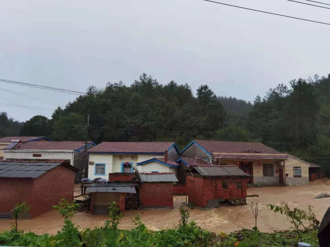 随州部分乡镇遭遇特大暴雨，抢险救援正在进行(图1)