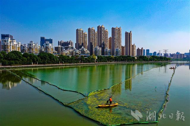 武汉南湖加快水环境提升