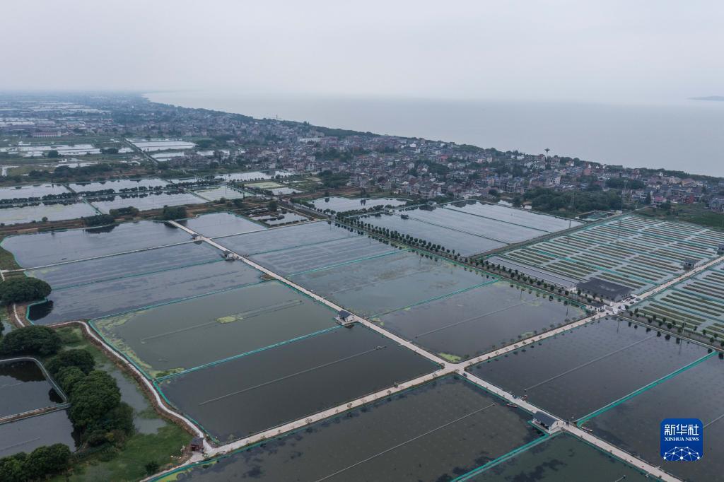 浙江湖州:推进特色生态水产养殖 助力乡村共同富裕