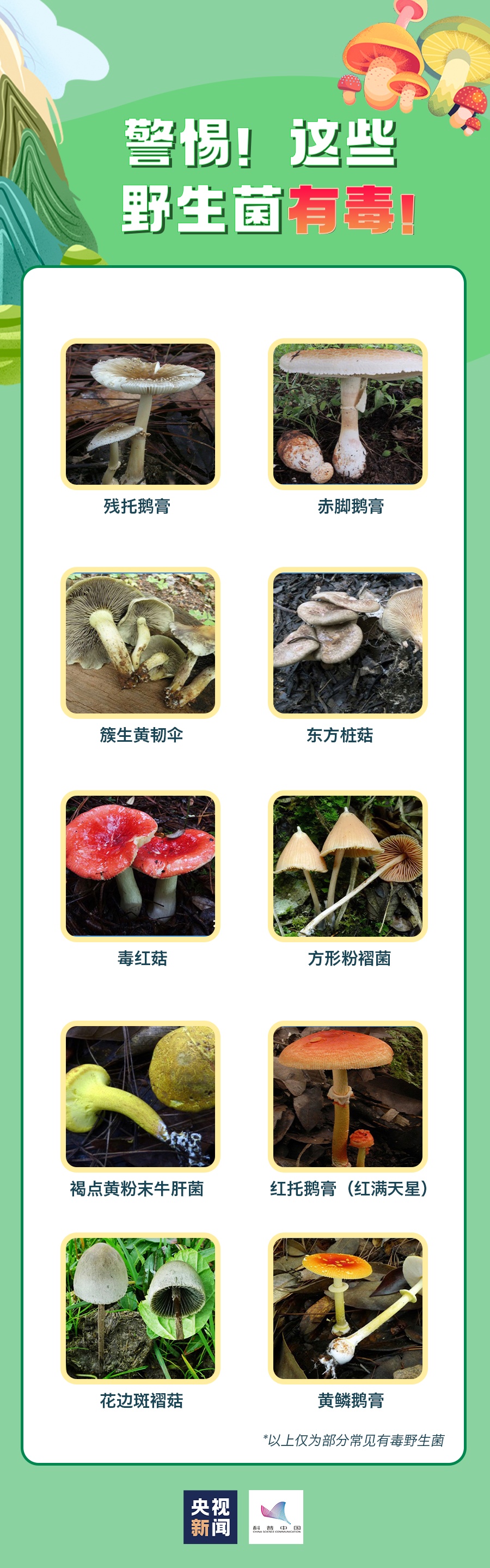 近日,广东一户人家因食用野生蘑菇,致家中外婆,妈妈和一3岁孩子抢救