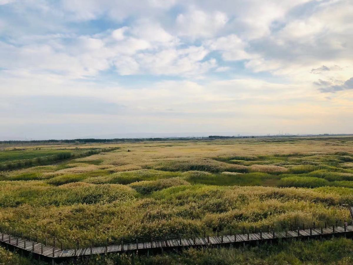 美丽新疆 玛纳斯国家湿地公园