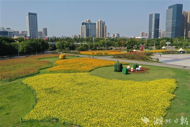 武汉泛海城市广场花田花海进入盛花期