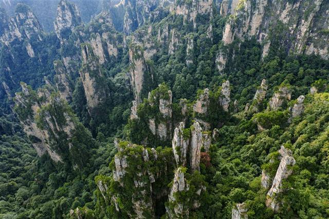 俯瞰张家界武陵源天子山景区.(湖北日报全媒记者 梅涛 摄)