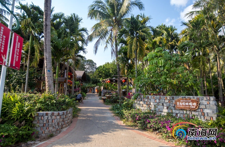 "这里村舍整洁风景如画,游客点赞三亚中廖村