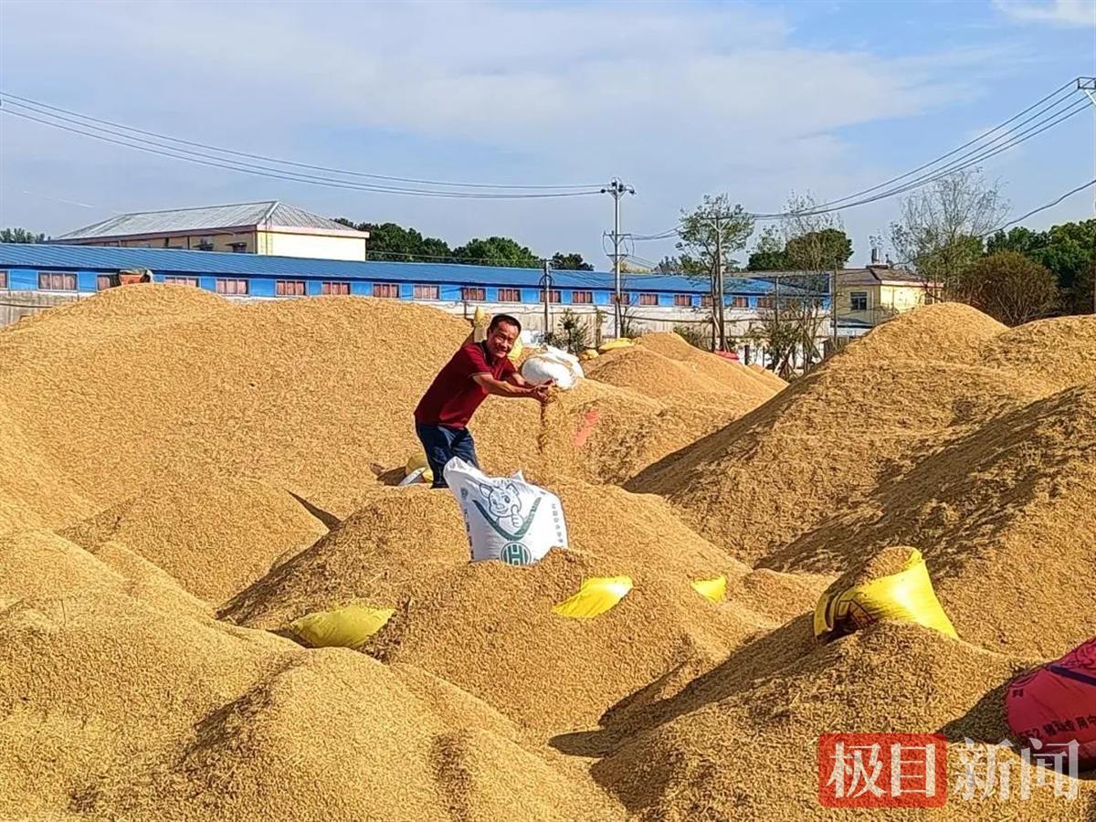 村里建起了粮食烘干房驻村工作队帮忙卖大米
