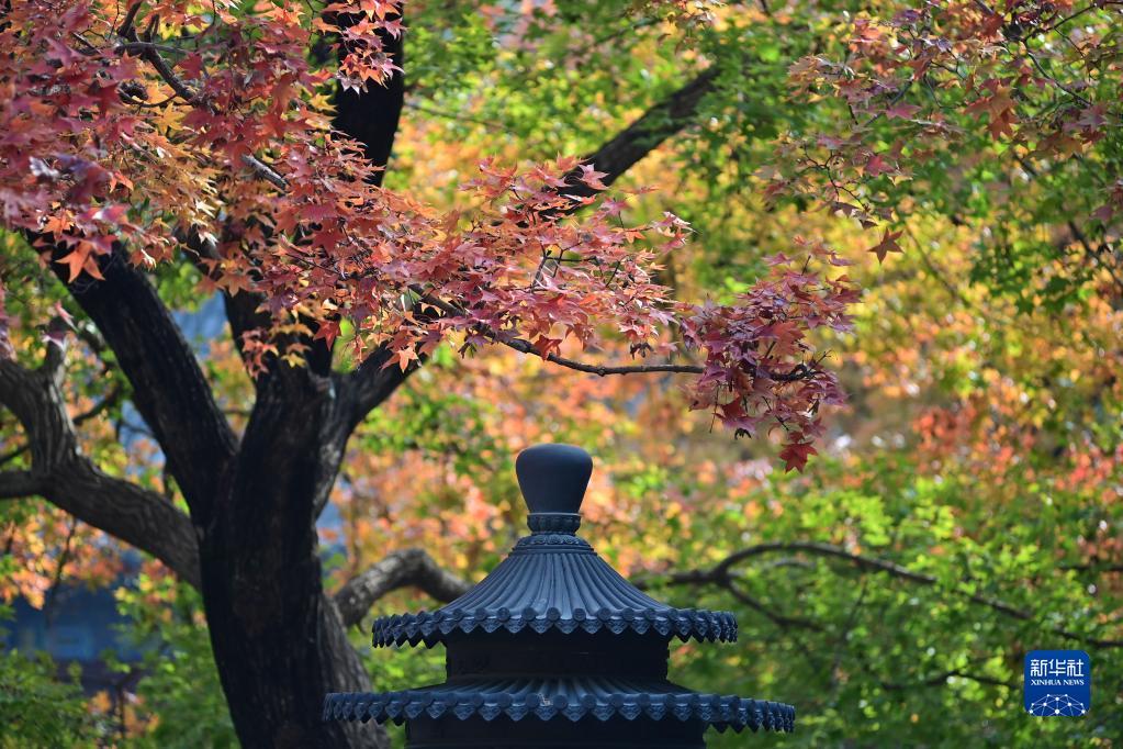 香山秋韵